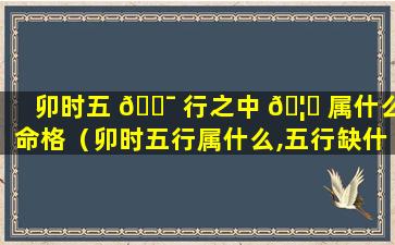 卯时五 🐯 行之中 🦁 属什么命格（卯时五行属什么,五行缺什么）